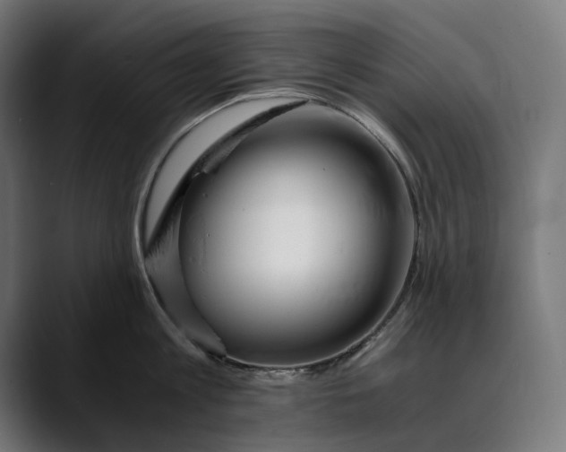 X0000088910813200707061344