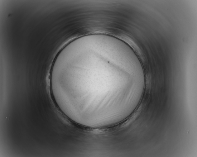 X0000088910814200707061344