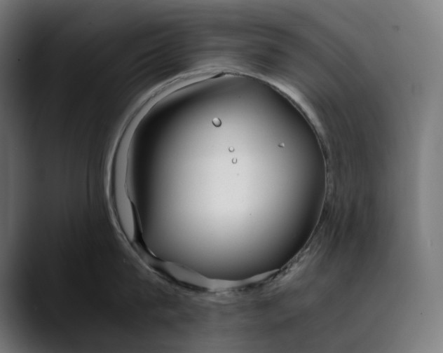 X0000088910815200707061344