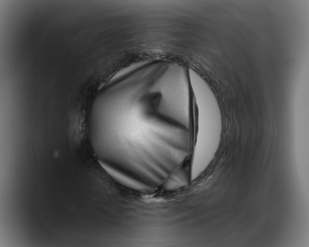 X0000088910818200707061344