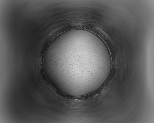 X0000088910821200707061344