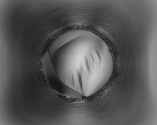 X0000088910822200707061344