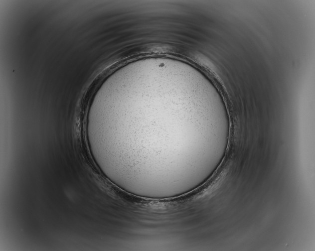 X0000088910827200707061344