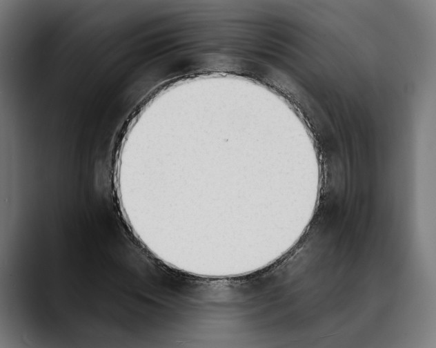 X0000088910828200707061344