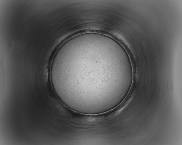 X0000088910829200707061344