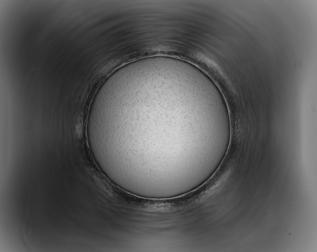 X0000088910833200707061344