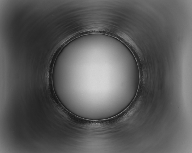 X0000088910834200707061344