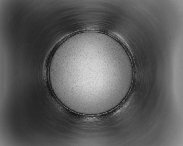 X0000088910835200707061344