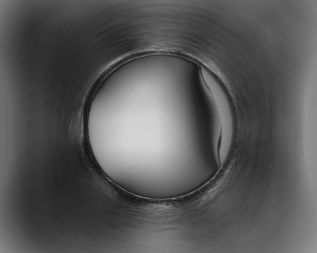 X0000088910838200707061344