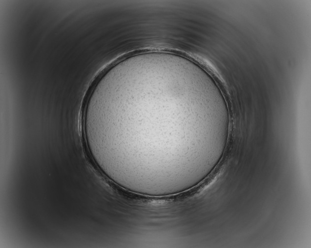 X0000088910839200707061344