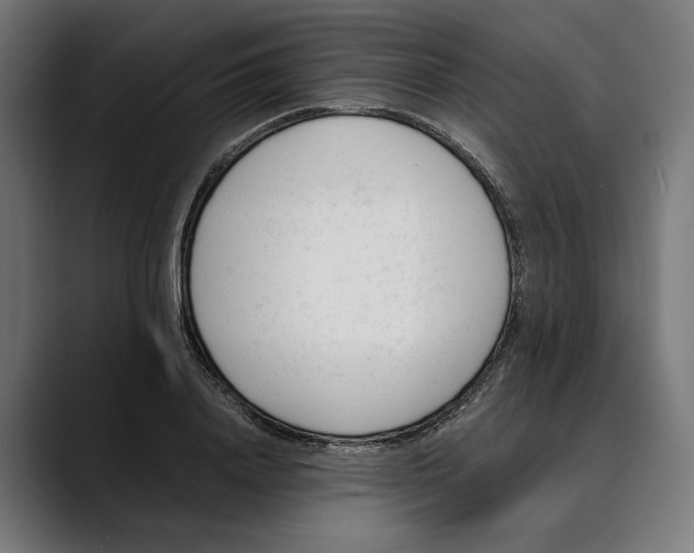 X0000088910840200707061344