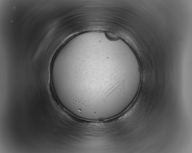 X0000088910844200707061344