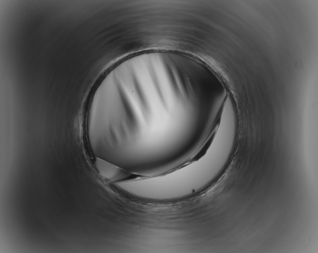 X0000088910846200707061344