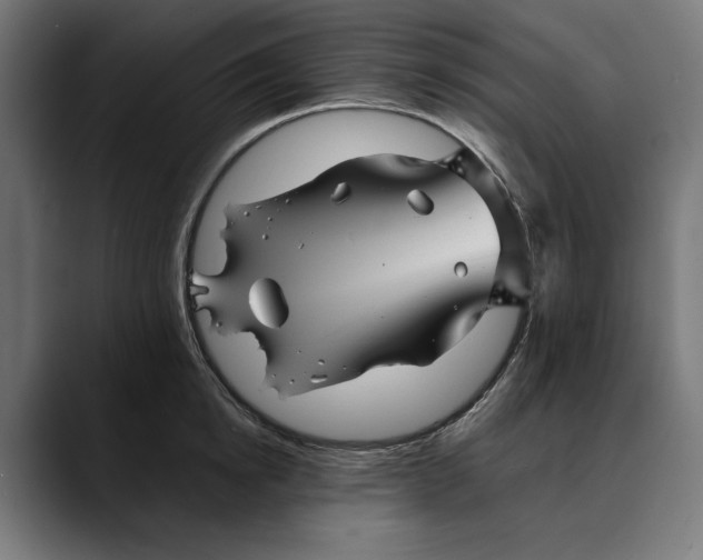 X0000088910854200707061344