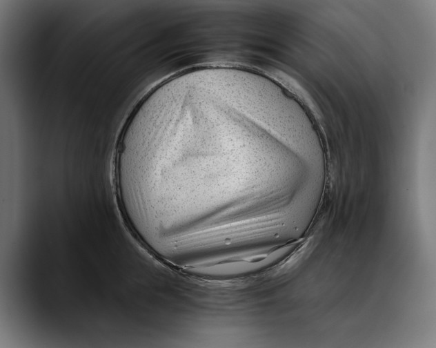 X0000088910855200707061344