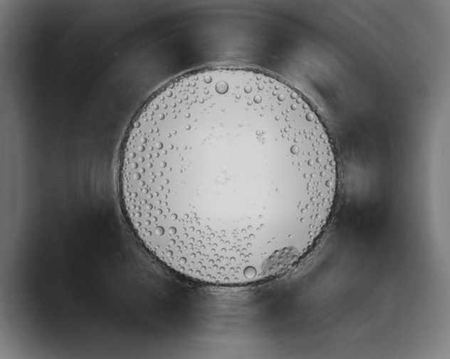 X0000088910856200707061344