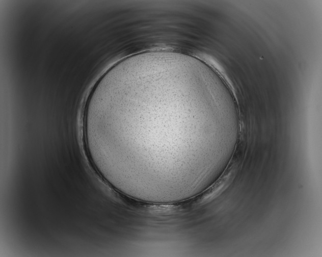 X0000088910859200707061344