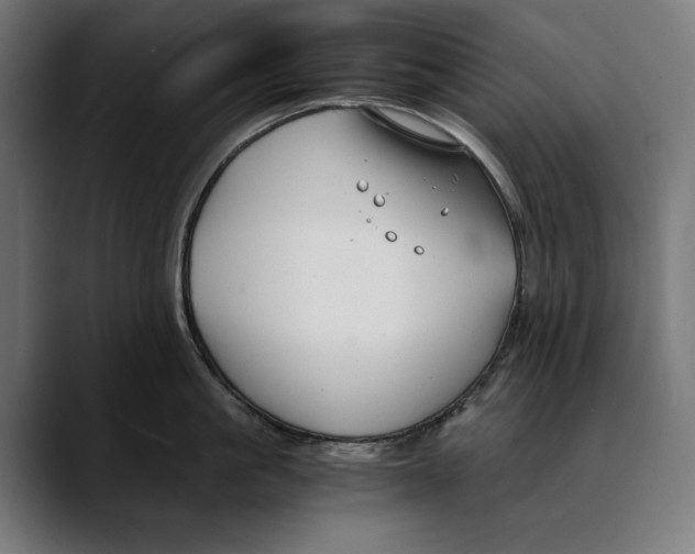 X0000088910861200707061344