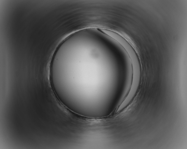 X0000088910862200707061344