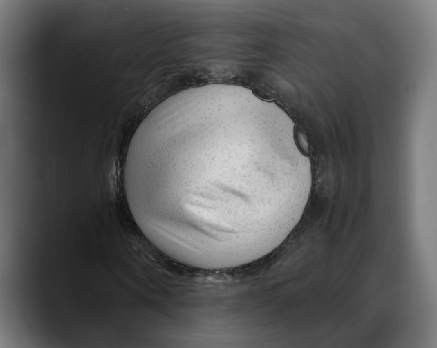 X0000088910866200707061343