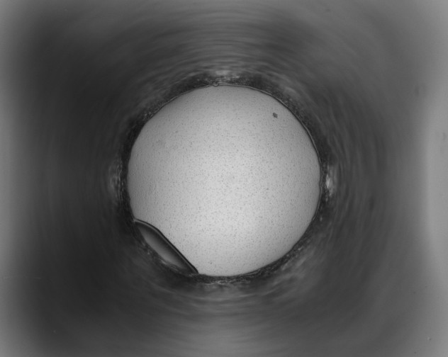 X0000088910867200707061343