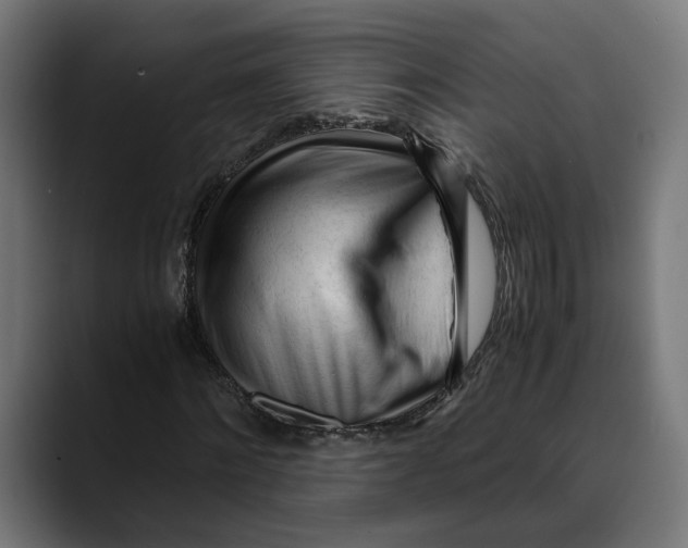 X0000088910868200707061343