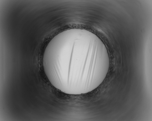 X0000088910870200707061343