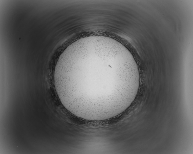 X0000088910871200707061343