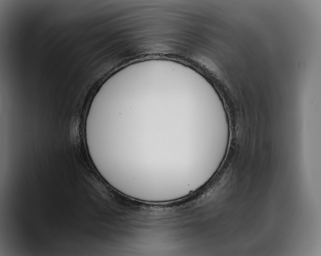 X0000088910873200707061343