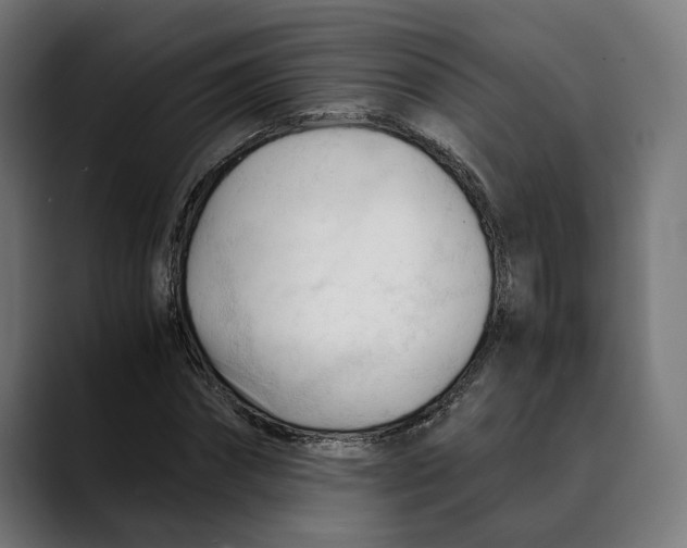 X0000088910874200707061343