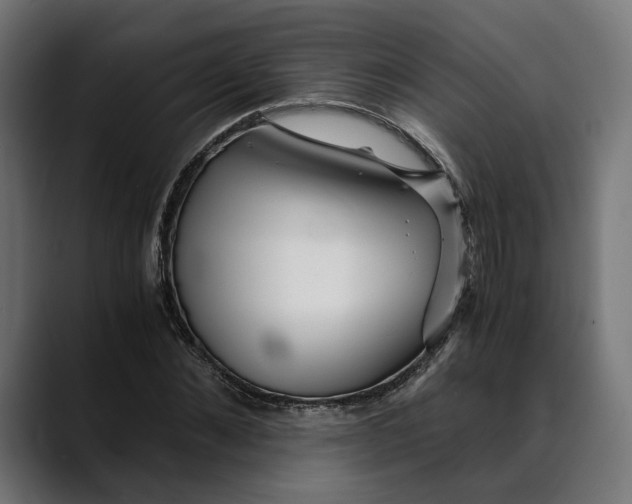 X0000088910876200707061343