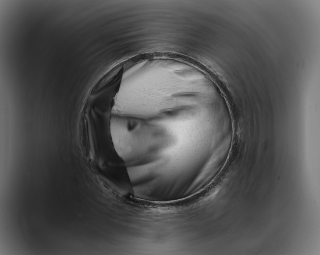 X0000088910877200707061343