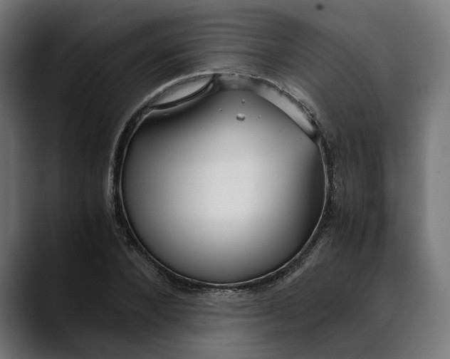 X0000088910880200707061343