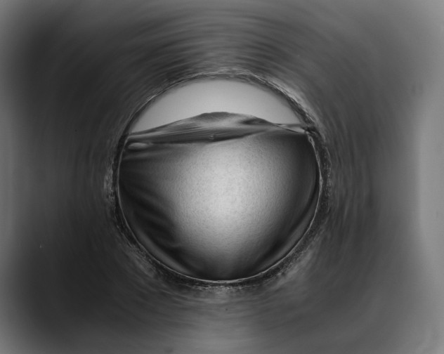 X0000088910881200707061343