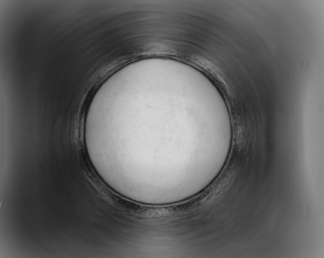 X0000088910882200707061343