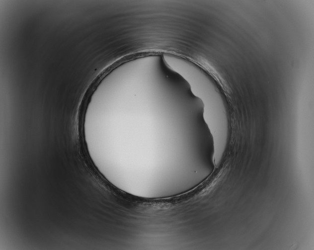 X0000088910884200707061343