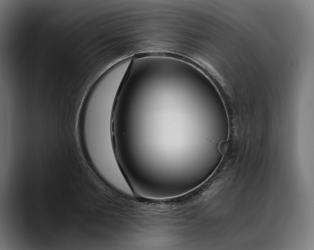 X0000088910885200707061343