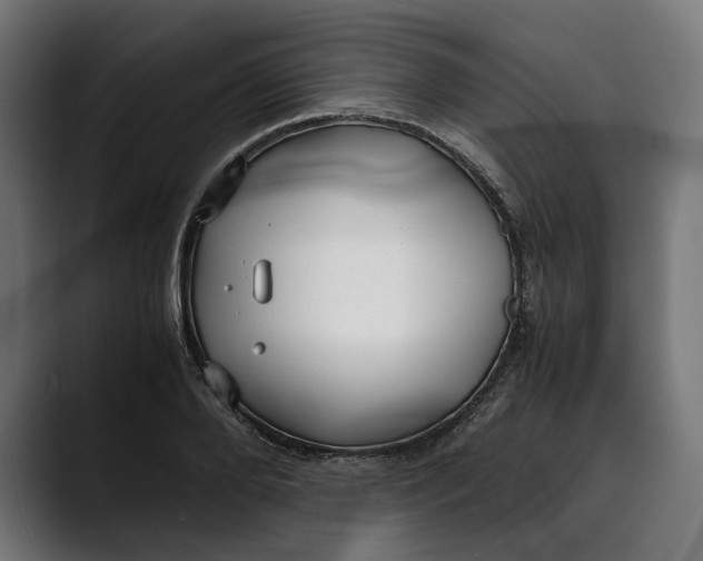 X0000088910888200707061343