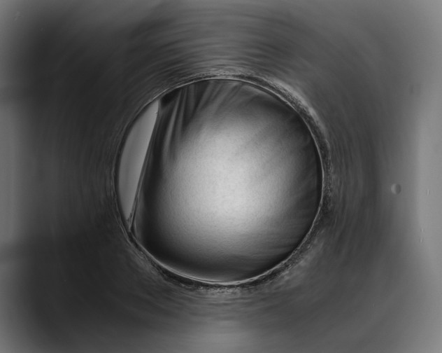 X0000088910889200707061343