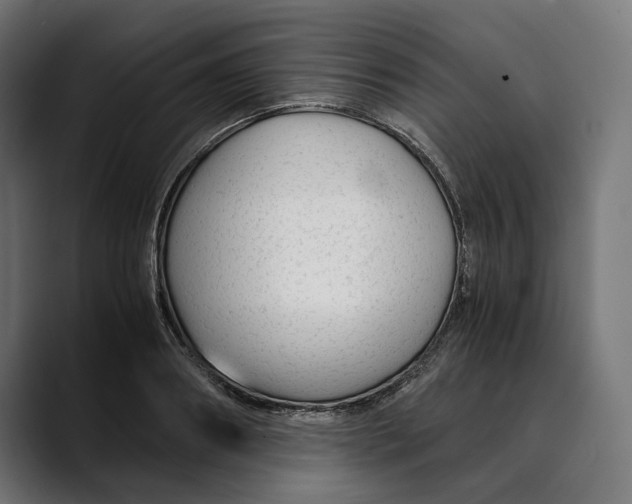 X0000088910890200707061343