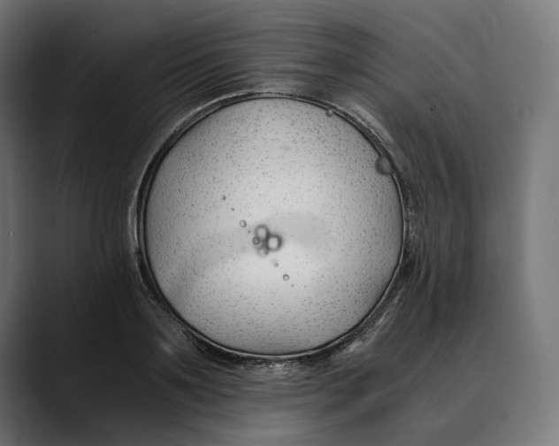 X0000088910891200707061343