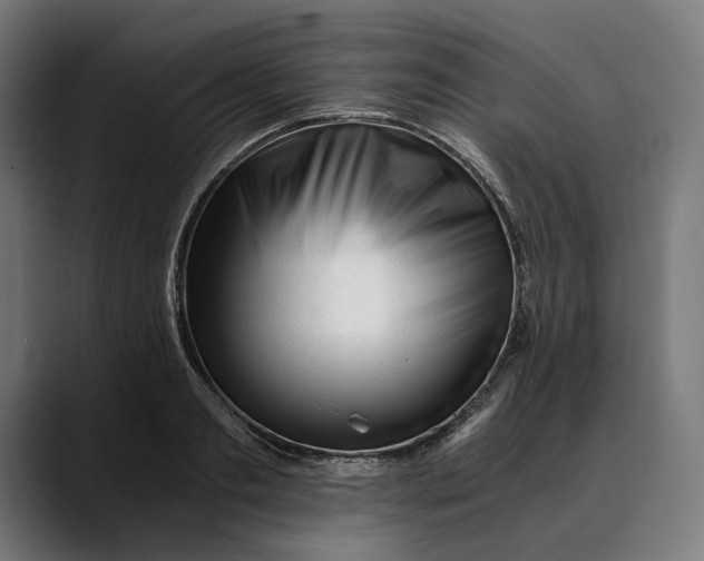 X0000088910893200707061343