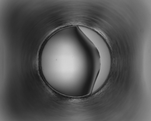 X0000088910894200707061343