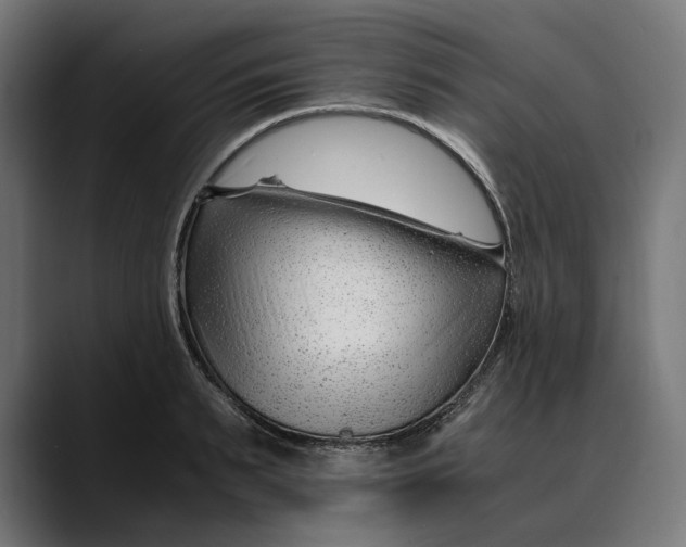 X0000088910895200707061343