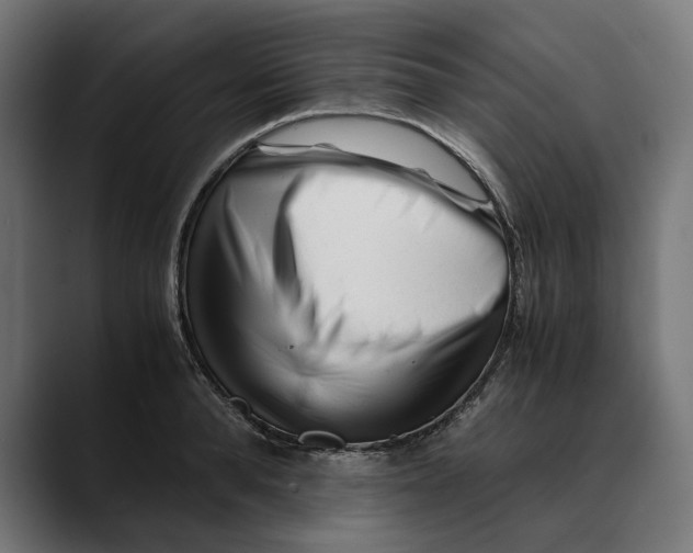 X0000088910896200707061343