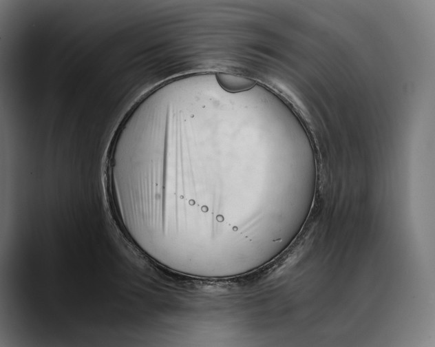 X0000088910899200707061343