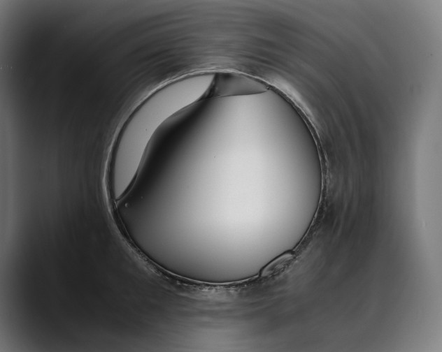 X0000088910901200707061343