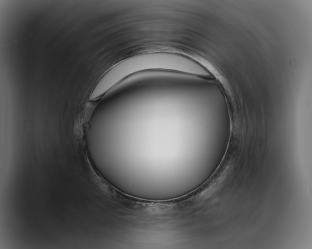 X0000088910905200707061343