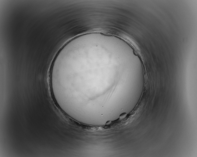 X0000088910907200707061343