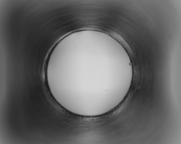 X0000088910908200707061343